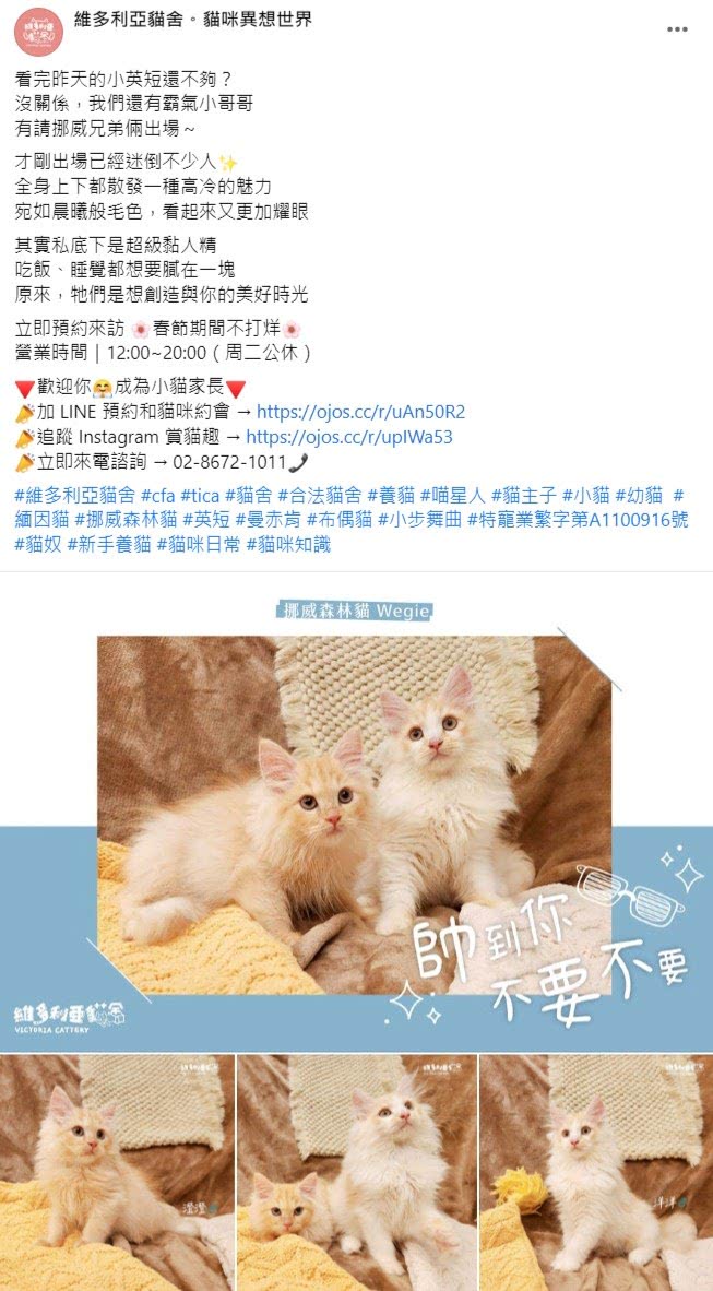 Facebook 社群貼文範例