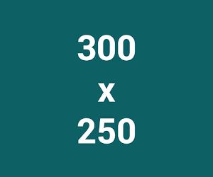 Google多媒体广告联播网广告行动版常用广告尺寸300x250
